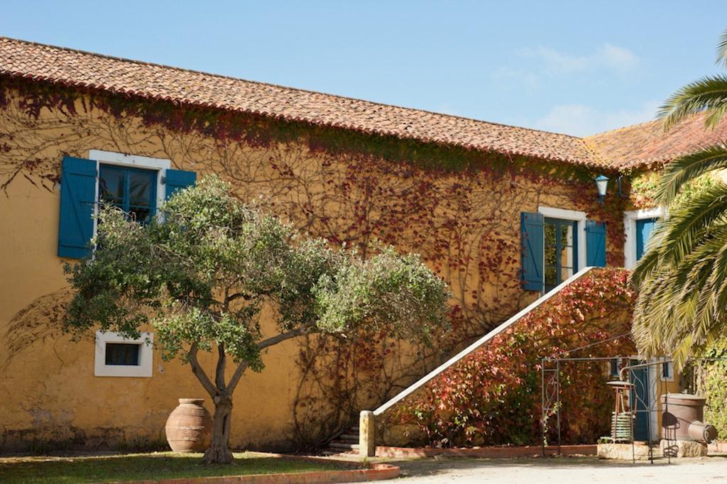 Quinta Do Campo Guest House Nazare Ngoại thất bức ảnh